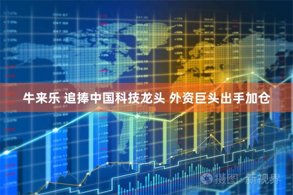 牛来乐 追捧中国科技龙头 外资巨头出手加仓