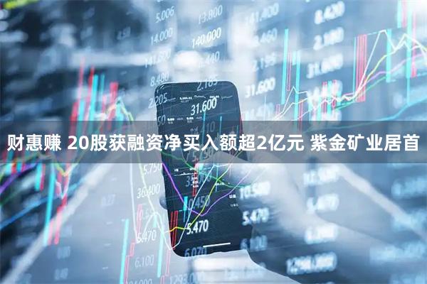 财惠赚 20股获融资净买入额超2亿元 紫金矿业居首
